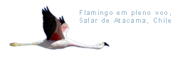 Imagens de viagens