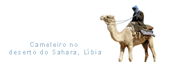 Imagens de viagens