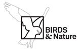 Birds & Nature Tours