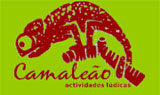 Camaleão - Actividades Lúdicas