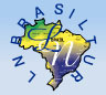 LNBrasiltur - viagens e turismo