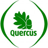Quercus