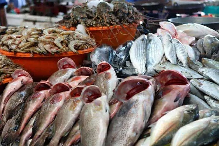 Mercado de Peixe, Dubai