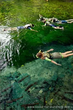 Snorkelling no Aquário Natural