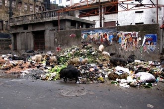 Incredible India!