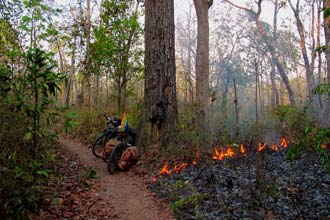 No trilho dos incêndios