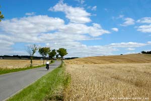 Ciclista nos arredores de Aarhus, norte de Jutland, Dinamarca