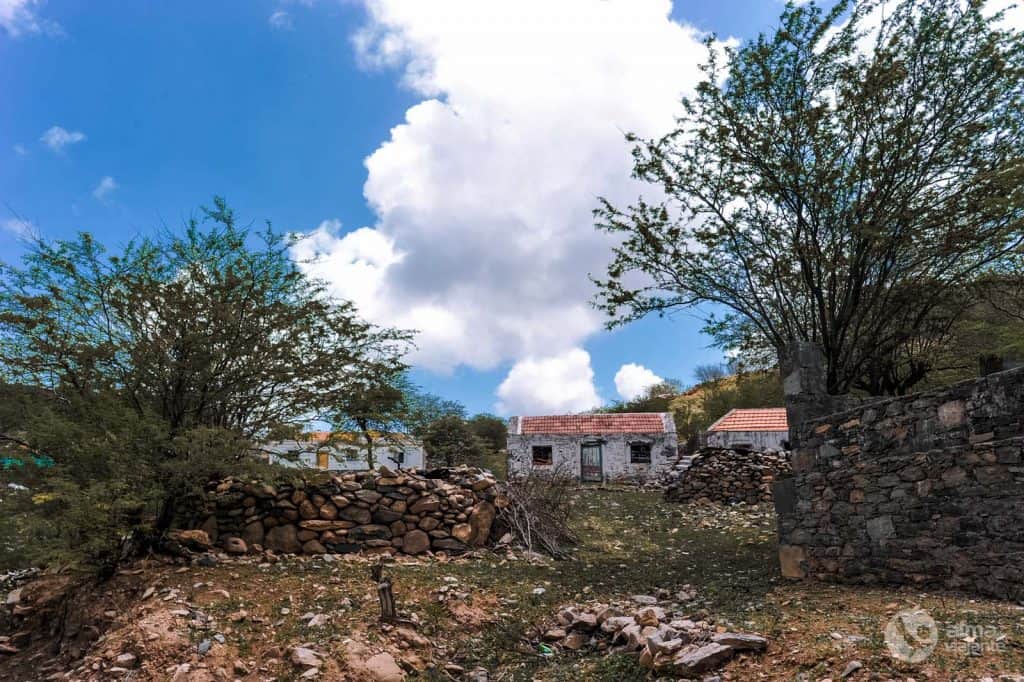 Fazenda Tarrafal