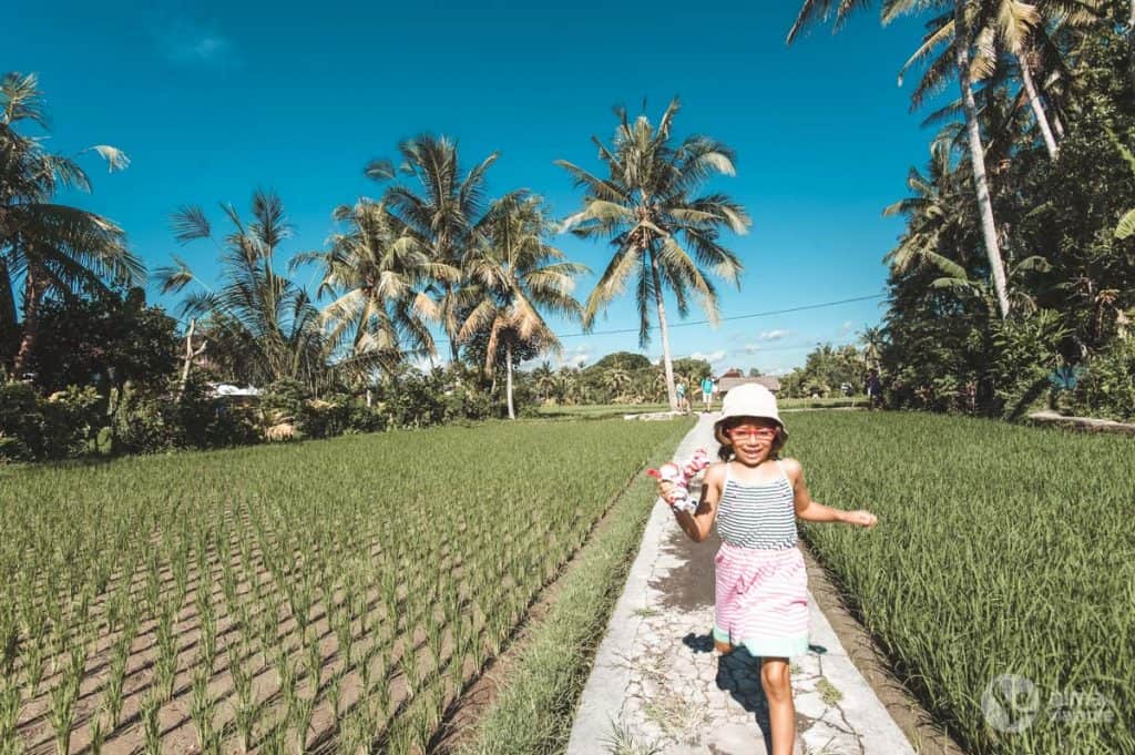 Arrozais de Ubud, Bali