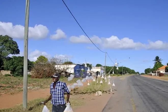 Vendedor de caju entre Maputo e Bilene, Moçambique