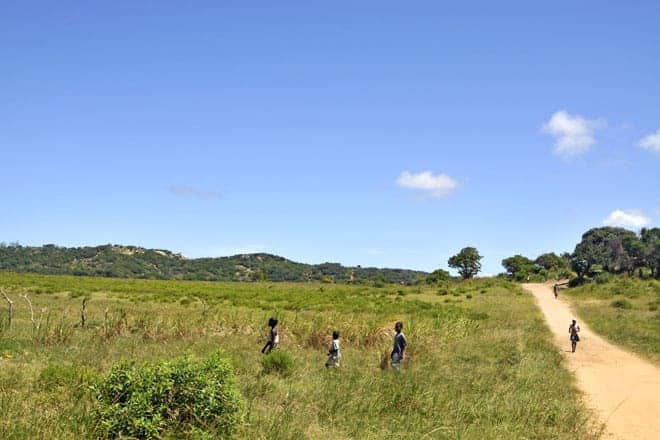 Estrada nas proximidades do Zongoene