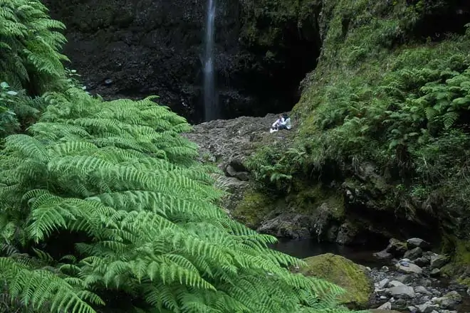 Levada do Caldeirão Verde, Madeira