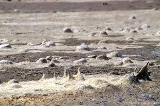 Salinas de Camarga
