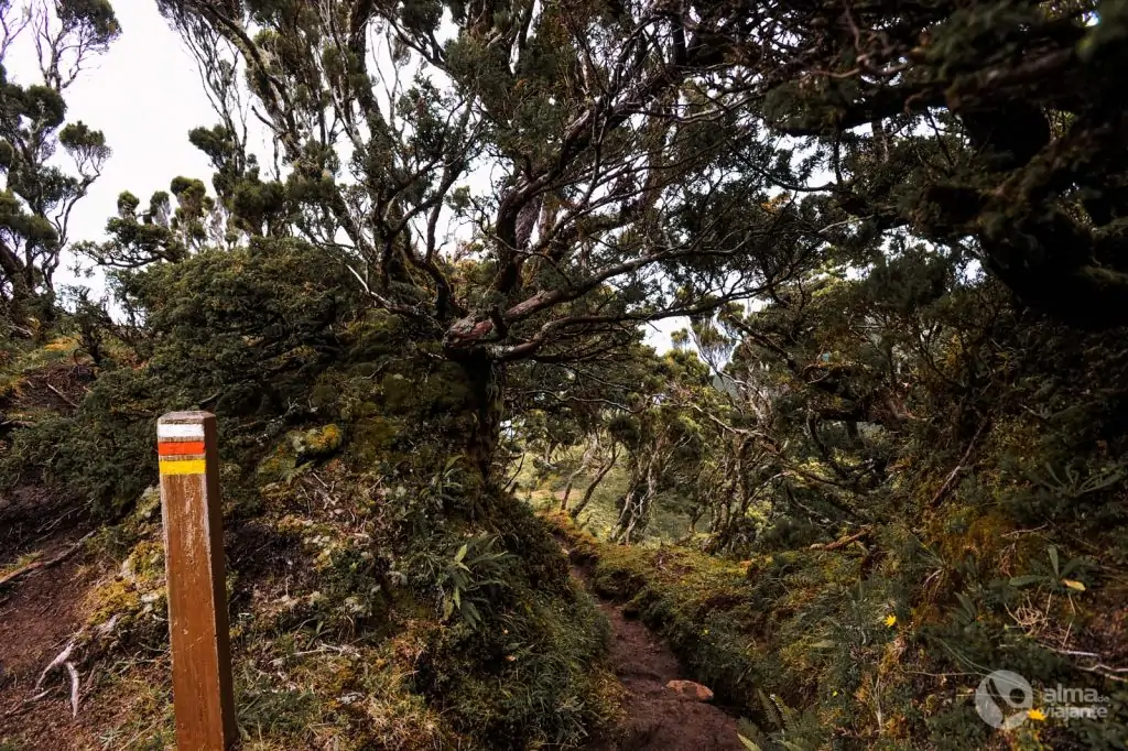 Trekking Caldeira de Santo Cristo