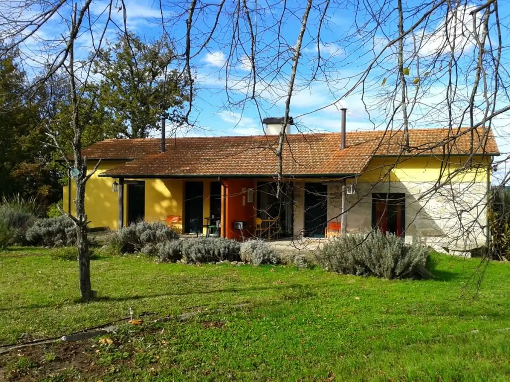 Casa das Palmeiras
