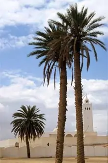 Mesquita de Douz