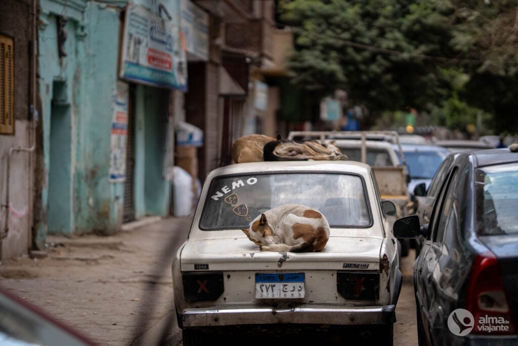Visitar Downtown Cairo