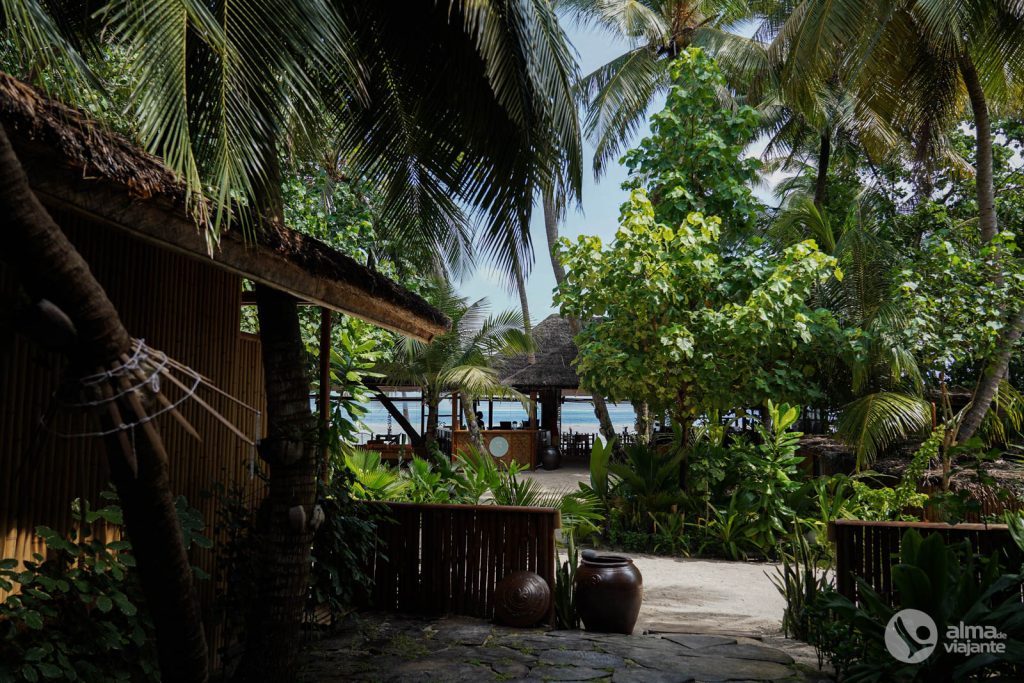 Ilha de Thinadhoo, Maldivas