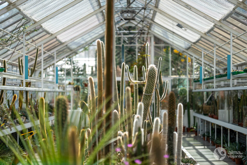 Estufas da Coleção de Plantas Suculentas de Zurique