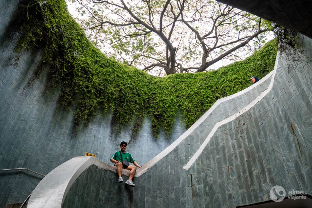 Lugares instagramáveis em Singapura: Fort Canning Tree Tunnel