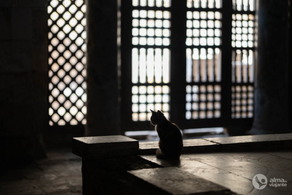 Visitar Cairo: Qalawun