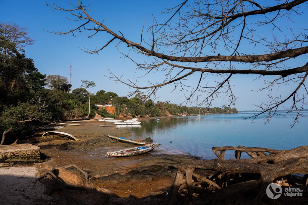Ilha de Bubaque, Bijagós