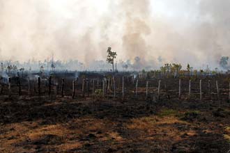 Incêncios no Camboja