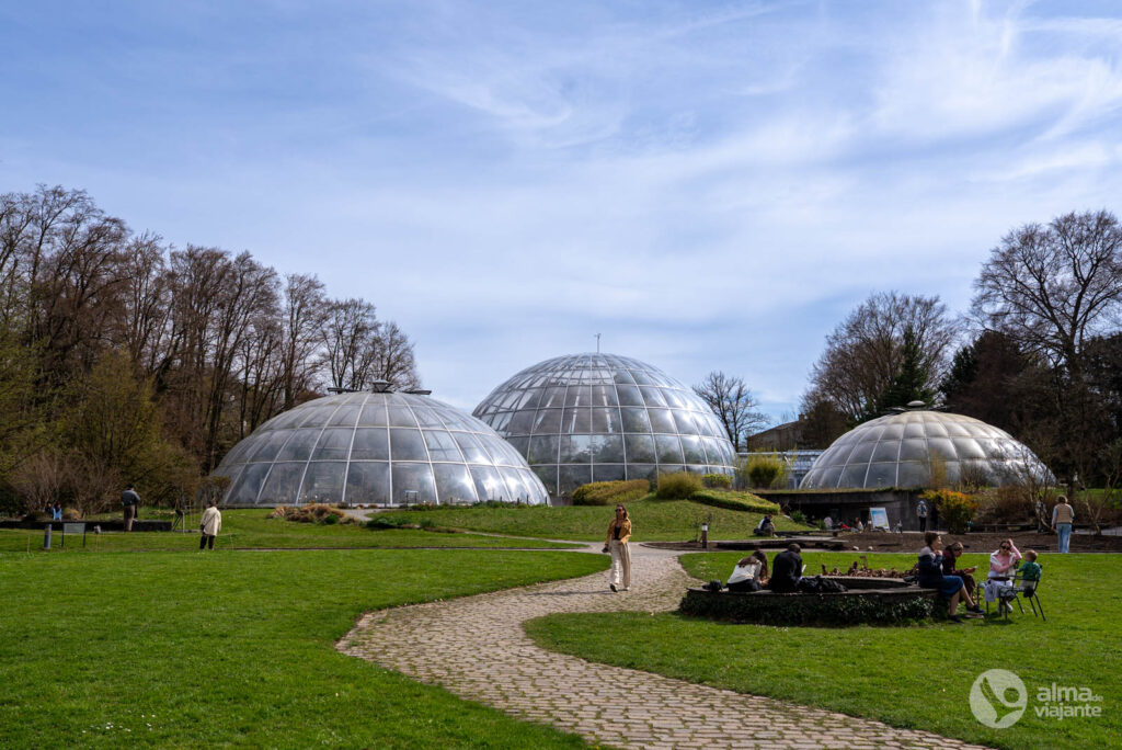 Jardim botânico de Zurique