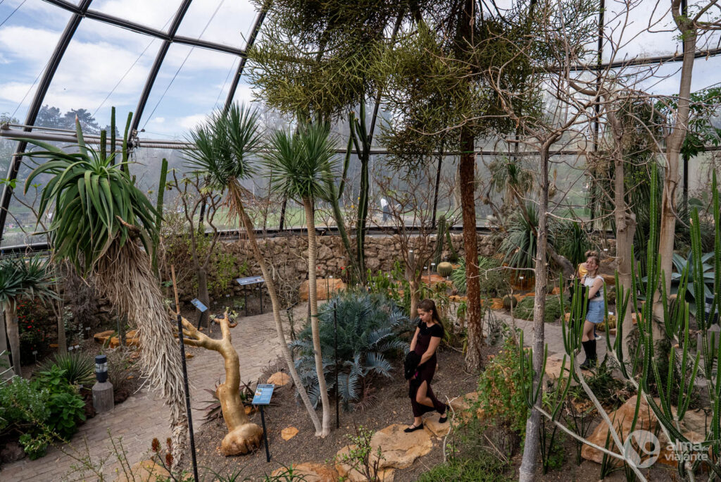 O que visitar em Zurique: Jardim botânico