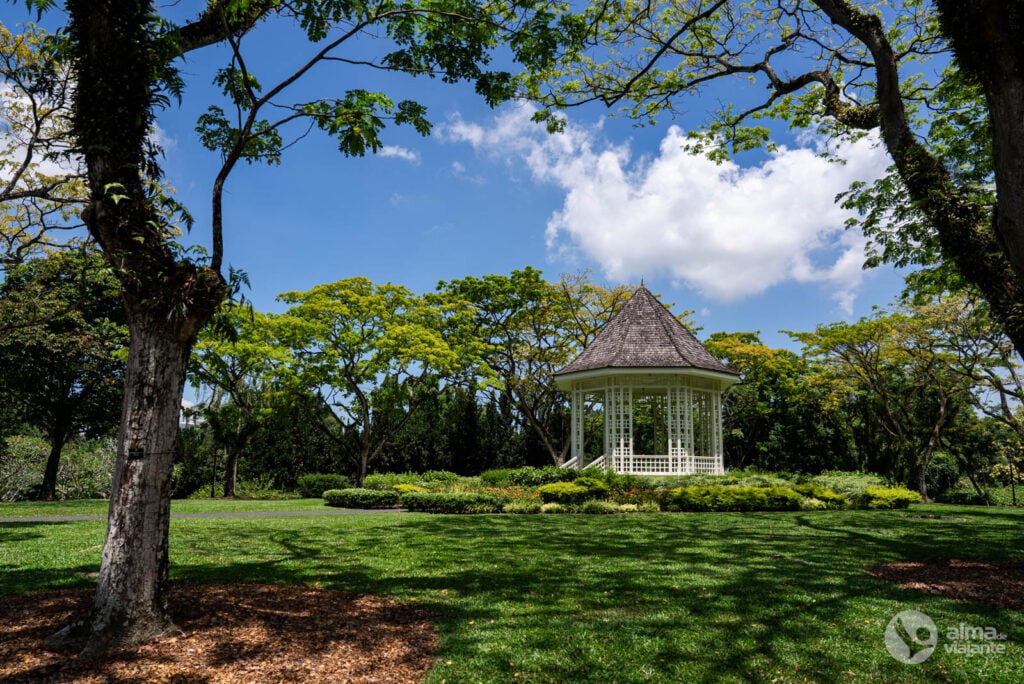 O que fazer em Singapura: visitar Jardins Botânicos
