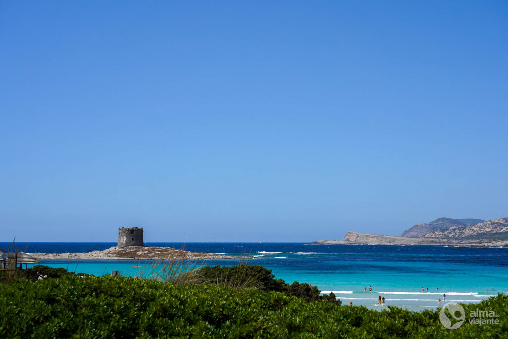 Torre da Pelosa