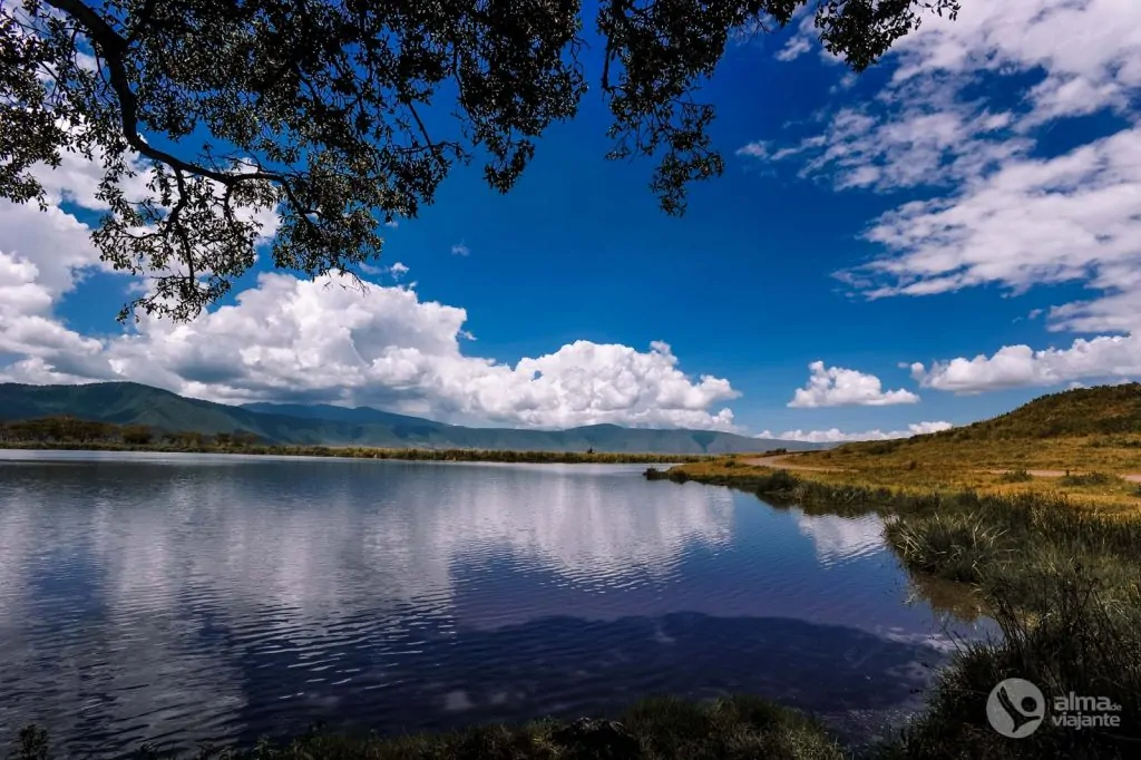 Safari em Ngorongoro