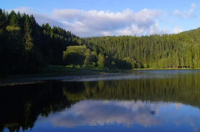 Lago Estenstaddammen, Trondheim