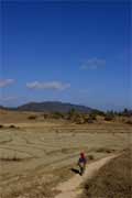 Arrozais em Kalaw, Myanmar (Birmânia)