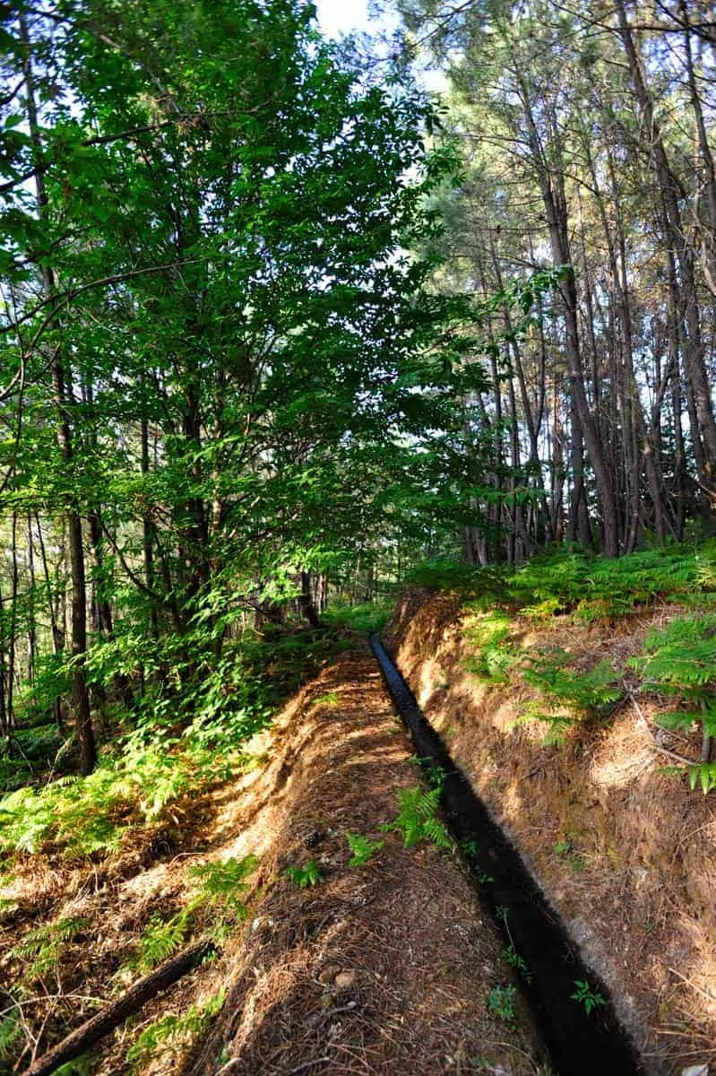 Levada na Serra da Gardunha