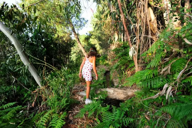 Levada na Serra da Gardunha