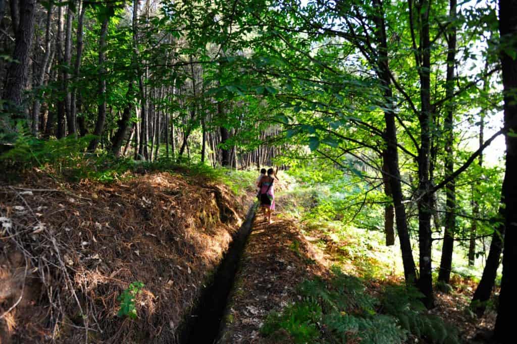 Levada na Serra da Gardunha