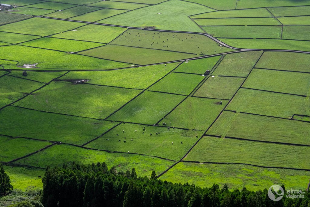 Manta de retalhos da Terceira, Açores