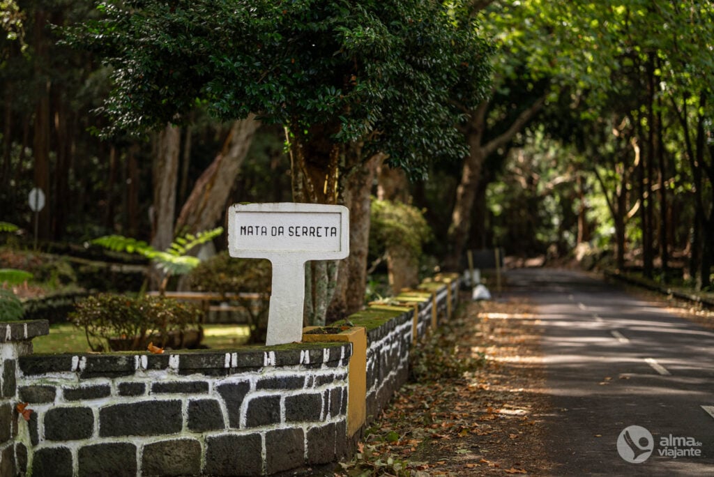 Mata da Serreta, ilha Terceira o que visitar