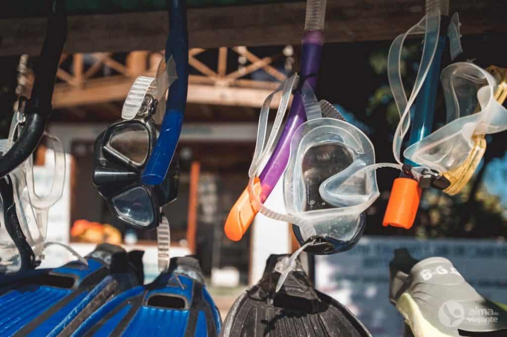 Material de snorkelling