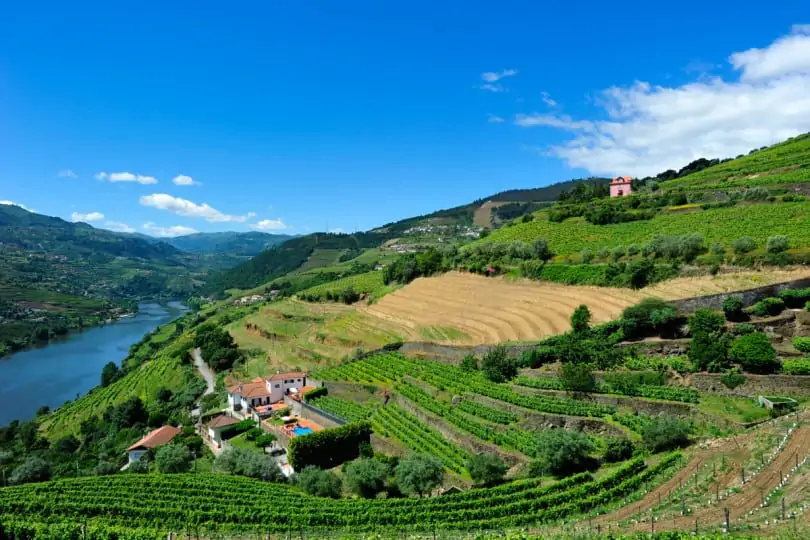 Rio Douro, Mesão Frio