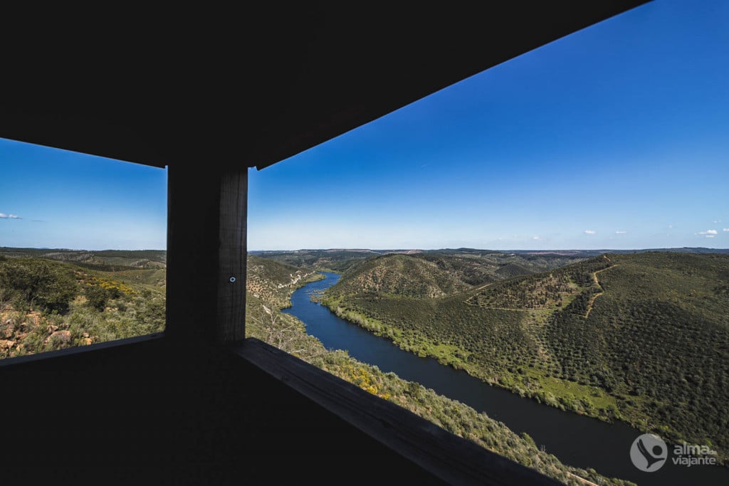 Observatório de Avifauna do Outeiro