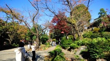 Parque Ueno, Tóquio