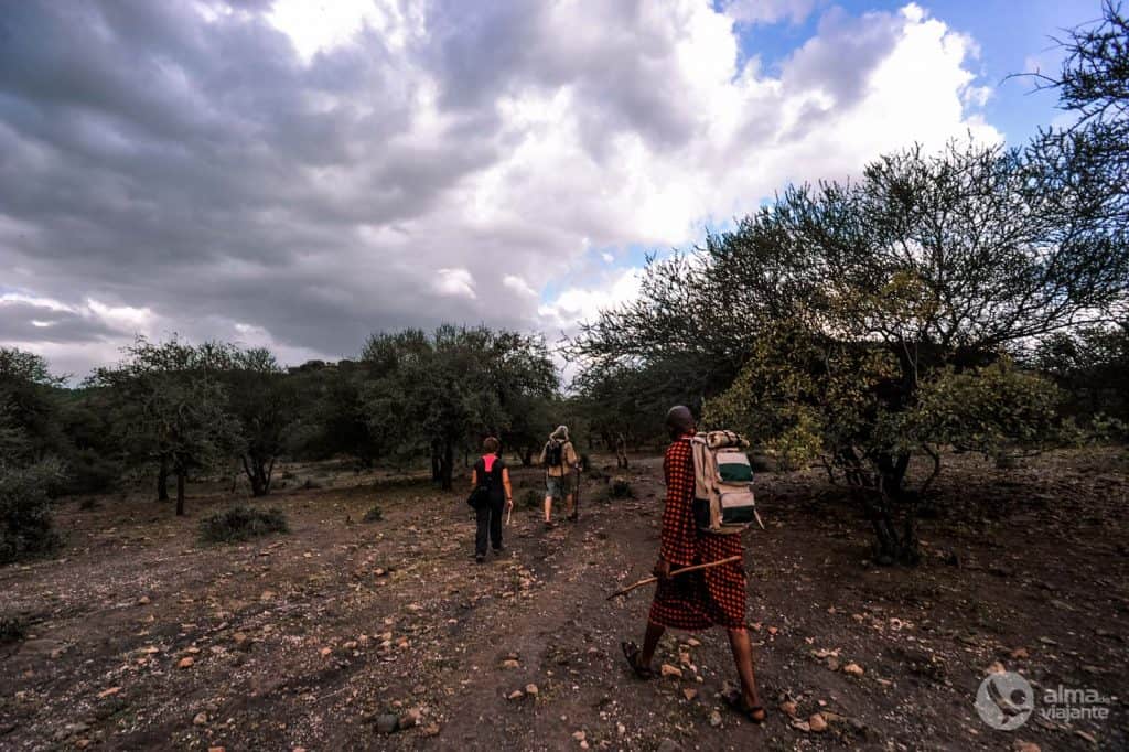 Passear Lago Manyara