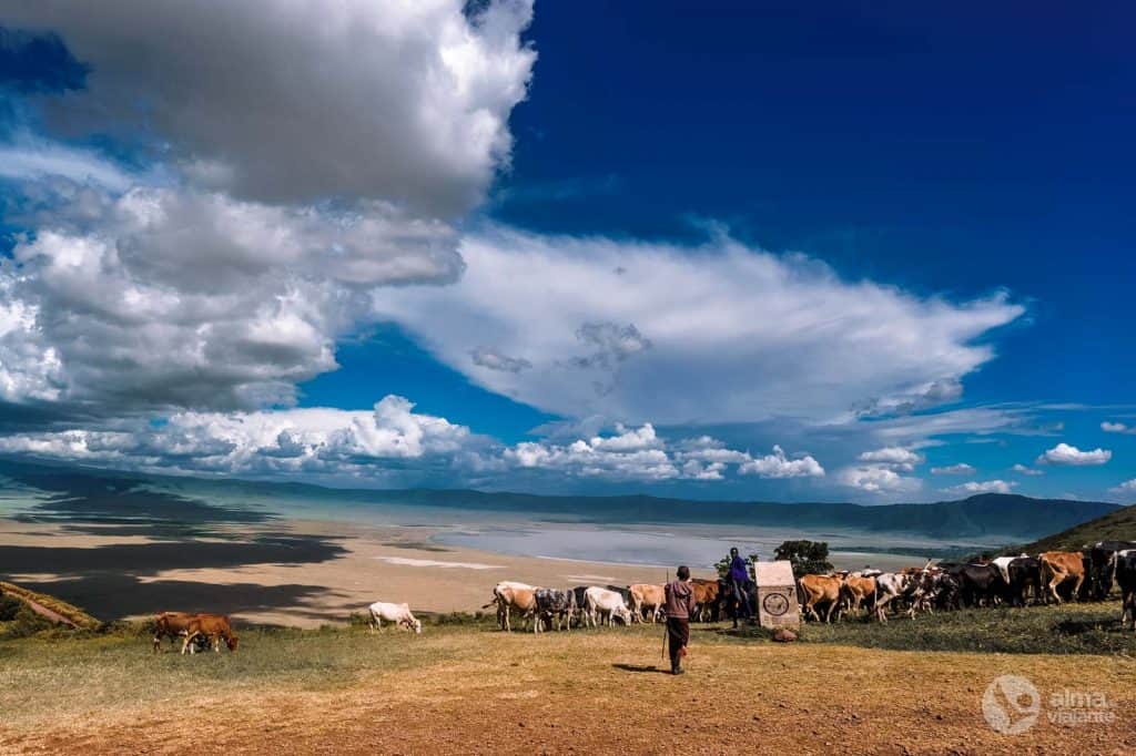 Pastores maasai Ngorongoro