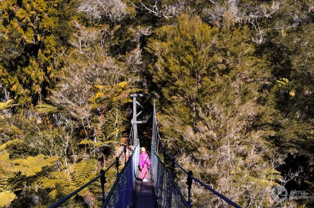 Abel Tasman Coastal Track