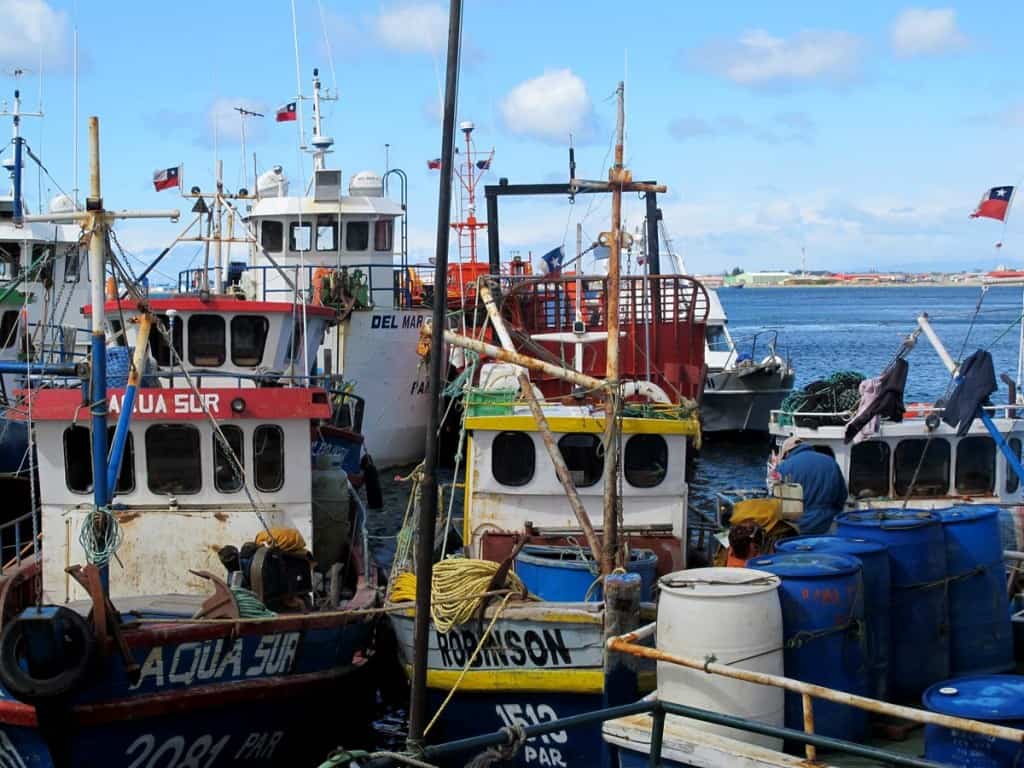 Porto de pesca em Punta Arenas, Chile