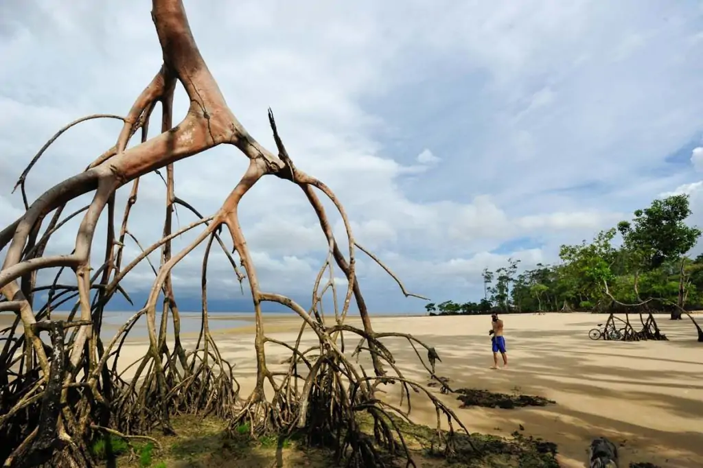 Visitar a Ilha do Marajó: Praia de Barra Velha