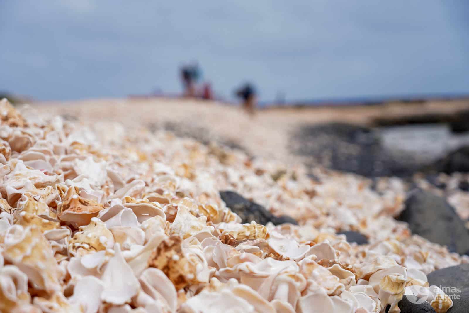 Praai Ilha do Sal, Cabo Verde: o que visitar, ver e fazer