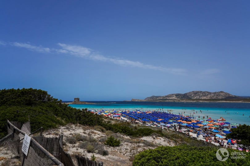 Visitar La Pelosa